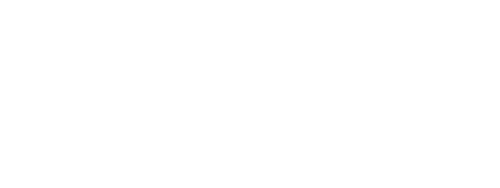 Kactus · Agencia de Marketing Digital